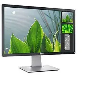 Dell 23" Wide Monitor
